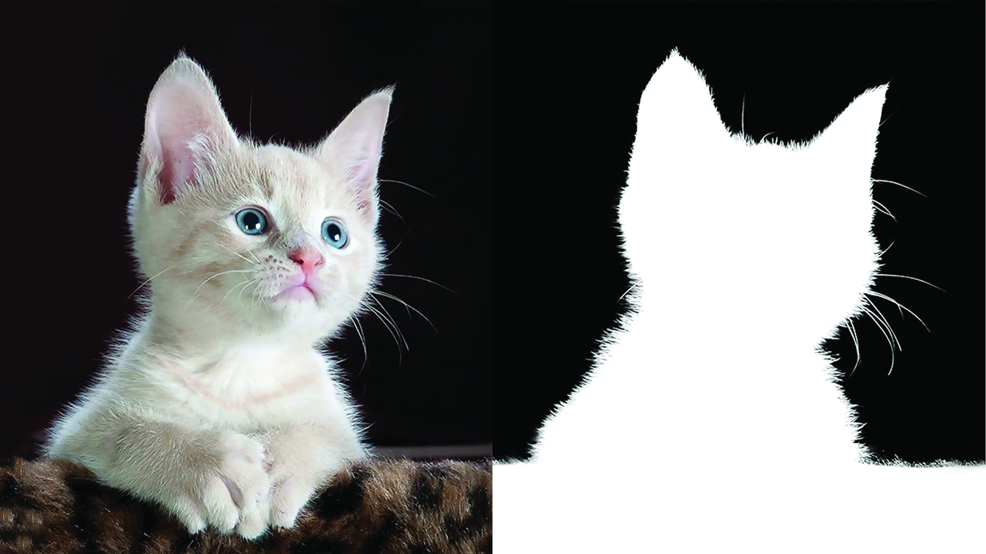 Photo editing Services 2026 (7)